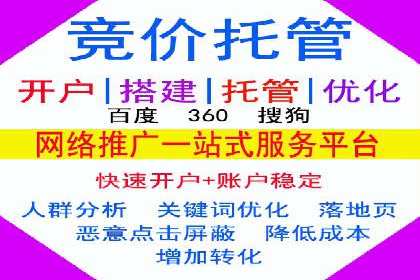 SEM推广代运营：成功案例解析与策略分享
